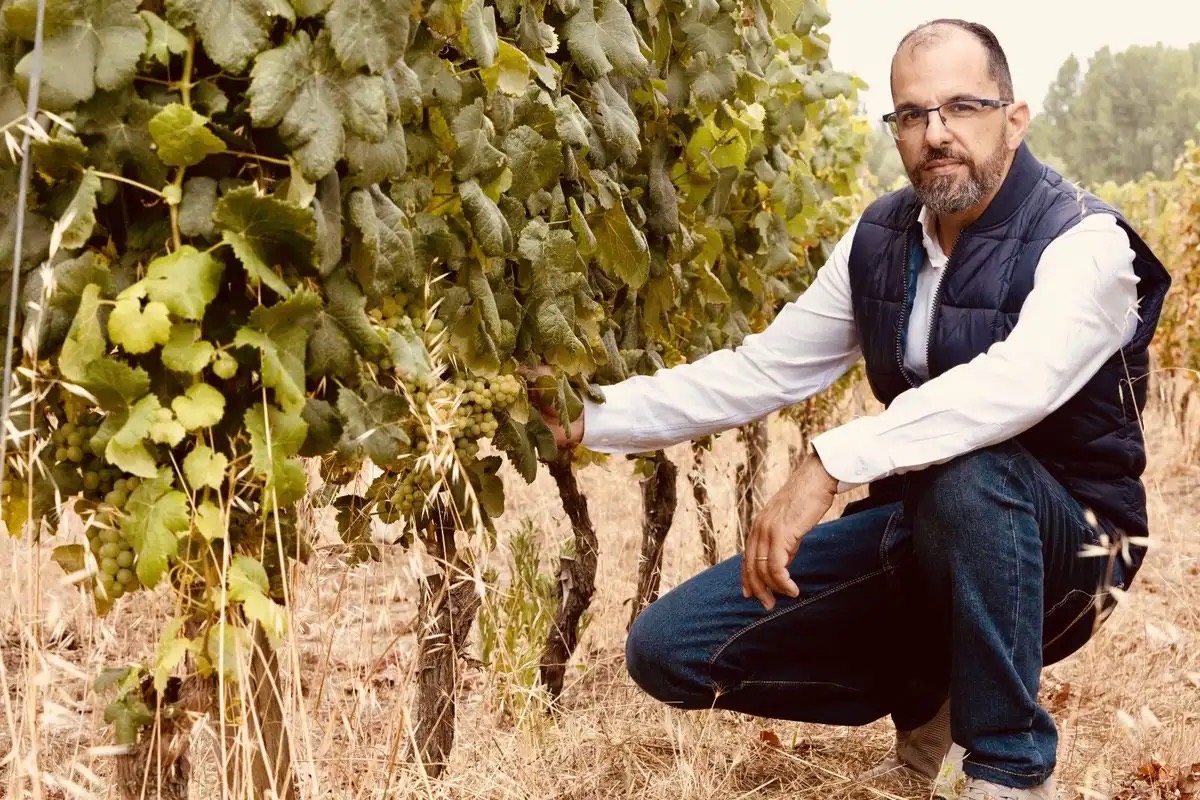 Vinhos de Origem numa edição vivida pela WCE em Portugal