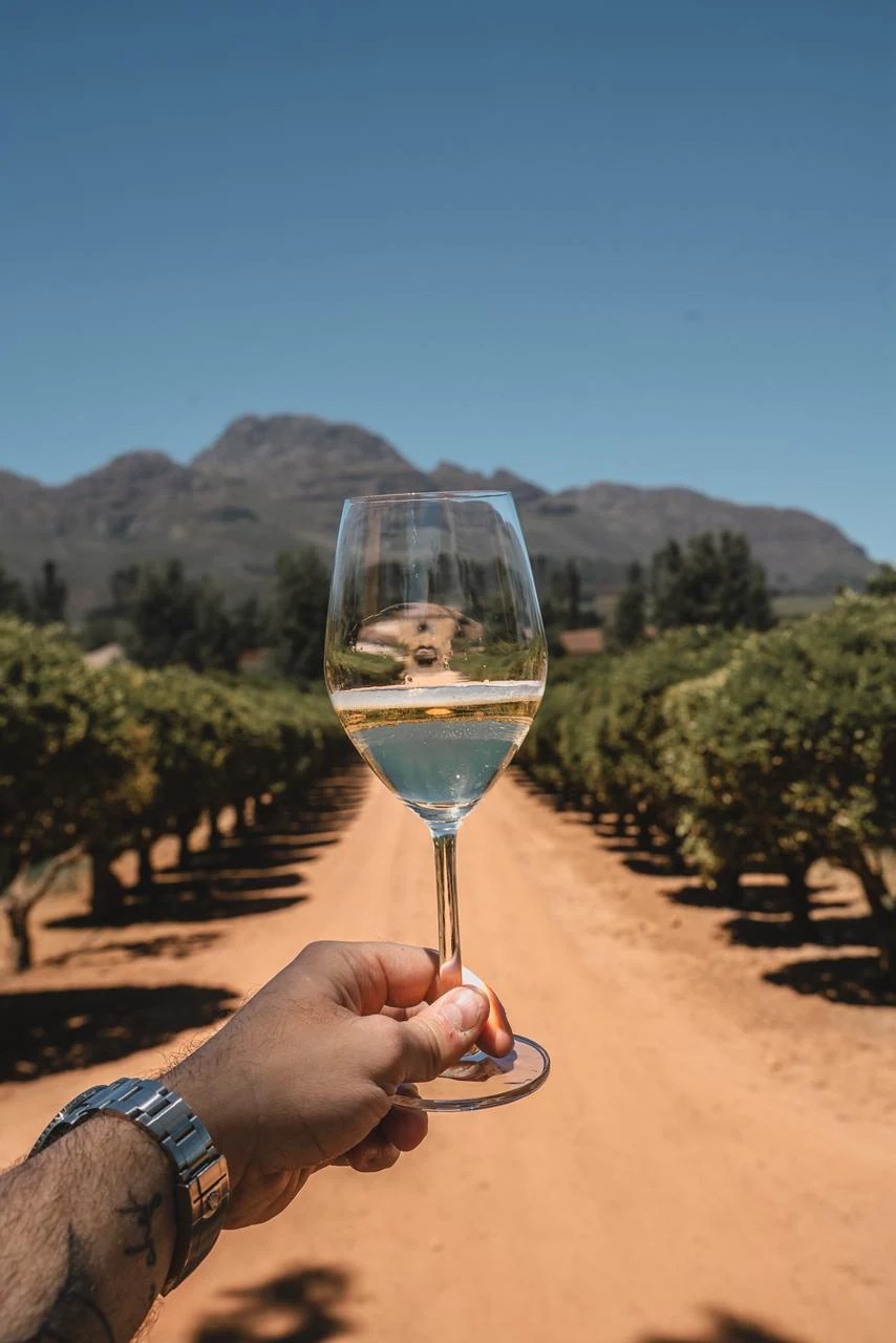 Cape Table · South Africa · CAPE TOWN · CONSTANTIA · FRANSCHHOEK · STELLENBOSCH · CAPE PENINSULA